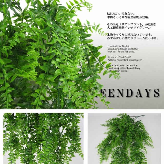 フェイクグリーン 造花グリーン 枯れない 観葉植物 85cm 人工観葉植物 フェイク 造花 ウォールグリーン 緑 葉 壁掛け インテリア おしゃれ  飾り 人工植物 グリーンの通販はau PAY マーケット - KURANO-ONLINE | au PAY マーケット－通販サイト