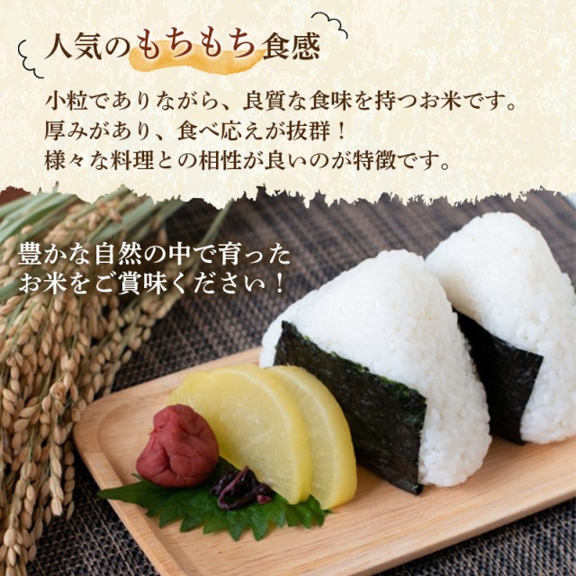 熊本産無洗米ヒノヒカリ10kg説明画像4