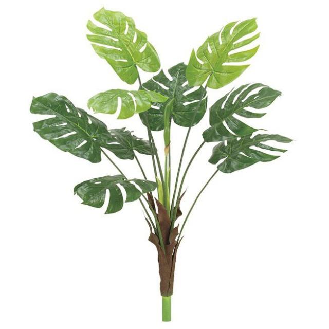 海外最新 観葉植物 造花 屋外対応 ウォータープルーフモンステラ 105cm 人工観葉植物 フェイクグリーン 大型 光触媒 Ct触媒 インテリア G Lの通販はau Pay マーケット 神戸花物語 商品ロットナンバー 独創的 Meaame Com