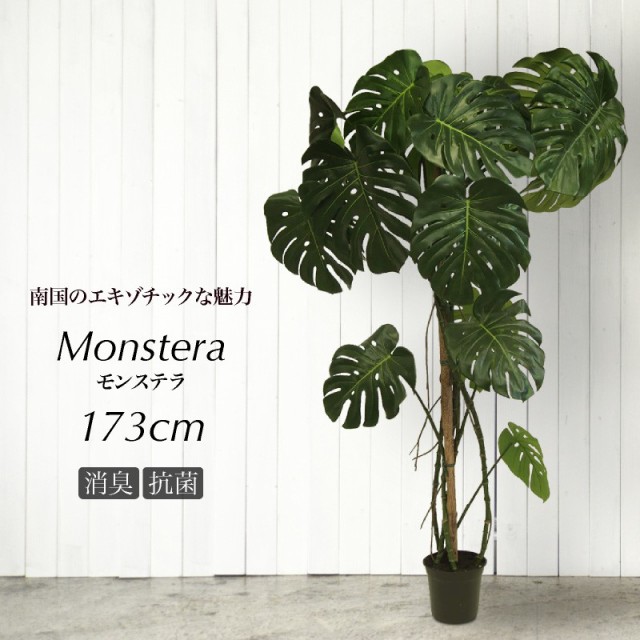 希少 人工観葉植物 フェイクグリーン 観葉植物 造花 光触媒 大型 モンステラ 173cm 鉢植 インテリア おしゃれ フェイク グリーン Ct触媒 消臭 半額品 Olsonesq Com