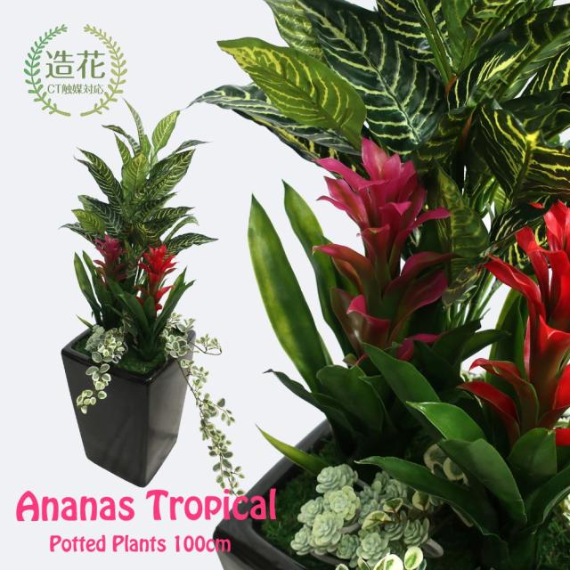 日本製 観葉植物 造花 フェイクグリーン 人工観葉植物 光触媒 アナナストロピカルプランツ 100cm 鉢植 ディフェンバキア グズマニア寄植 フェイ 開店祝い Amge Lyon Com