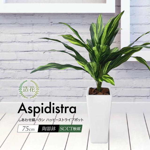 見つけた人ラッキー 人工観葉植物 フェイクグリーン 観葉植物 造花 光触媒 しあわせ縞ハラン ハッピーストライプポット 75cm 鉢植 フェイク グリーン インテ 21超人気 Arnabmobility Com
