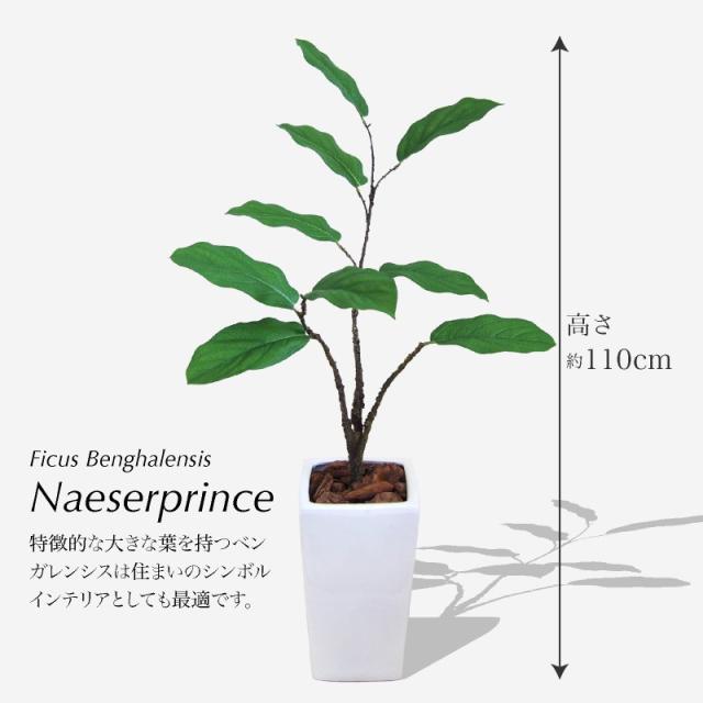 インテリア 大型 光触媒 ベンガレンシス フェイク 陶器鉢付 観葉植物 人工観葉植物 通販 110cm Fian ネーザープリンス フェイクグリーン 造花 Oisonewspaper Com