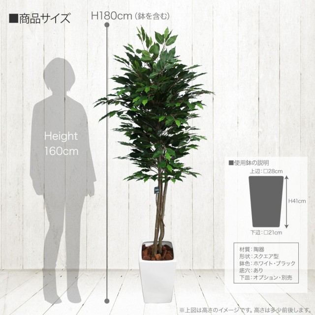 人工観葉植物 大型 フィカスツリーM 鉢植 180cm 天然幹 ナチュラル