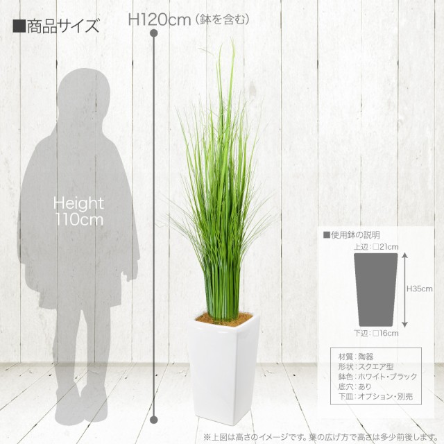 高評価特価 人工観葉植物 フェイクグリーン 観葉植物 造花 光触媒 ベアグラススタンドL 120cm 鉢植 フェイク グリーン インテリア おしゃれ CT触媒 の通販はau PAY マーケット - 神戸花物語|商品ロットナ 格安新作登場