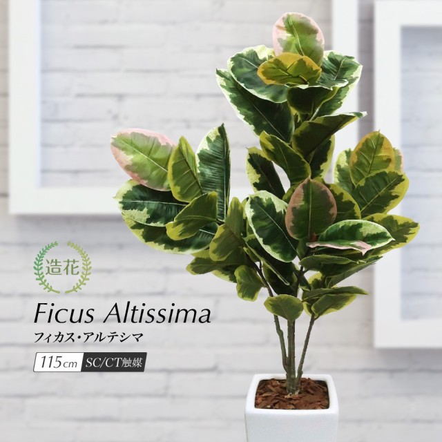 注目の 人工観葉植物 フェイクグリーン 観葉植物 造花 光触媒 フィカス アルテシマ 115cm 鉢植 インテリア フェイク グリーン Ct触媒 お祝い アウトレット送料無料 Olsonesq Com