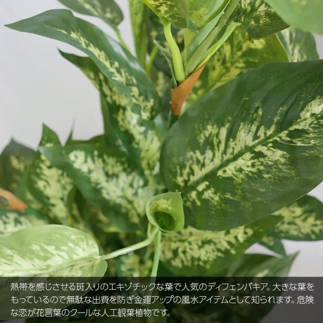 豪華 人工観葉植物 フェイクグリーン 観葉植物 造花 光触媒 大型 ディフェンバキア 110cm 鉢植 インテリア おしゃれ フェイク グリーン Ct触媒 当店人気 送料無料 Fcrtt Org