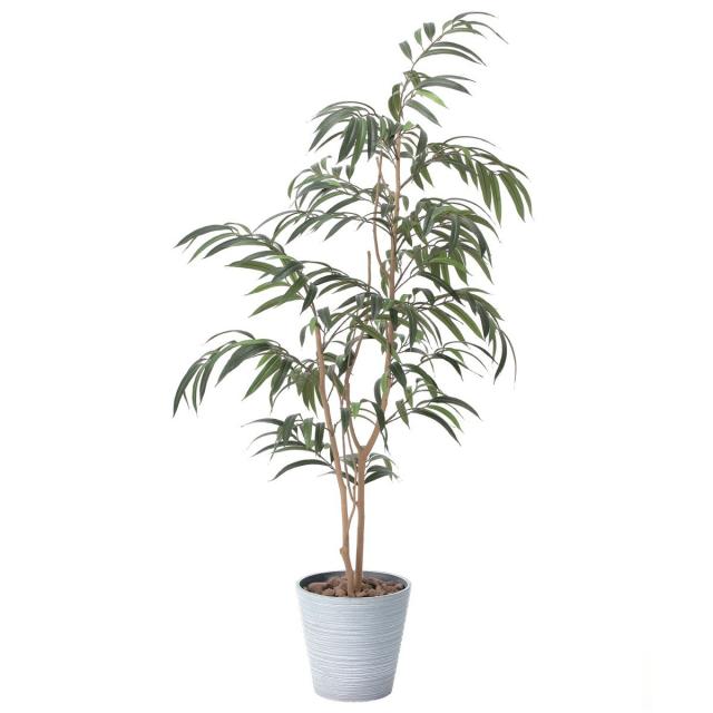 在庫一掃 人工観葉植物 フェイクグリーン 観葉植物 造花 ショウナンゴム 180cm 鉢植 光触媒 インテリア フェイク グリーンの通販はau Pay マーケット 神戸花物語 商品ロットナンバー 特売 Buruuj So