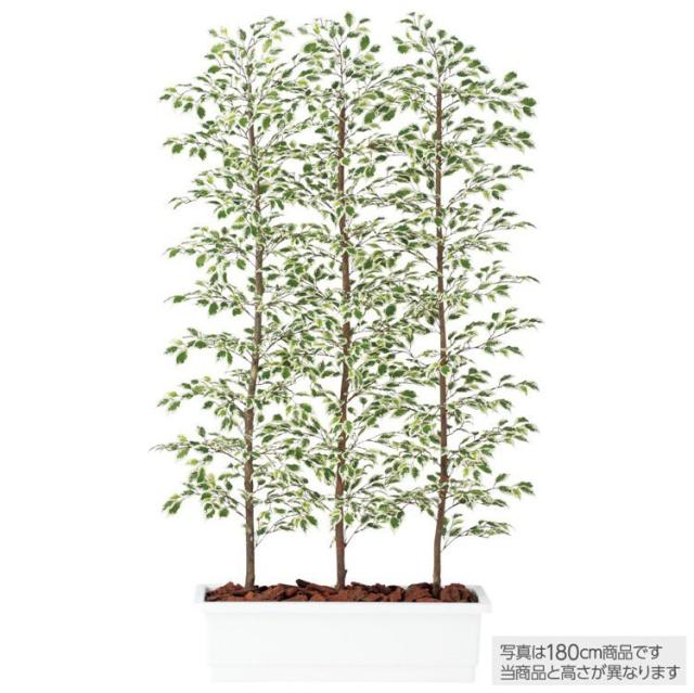 スターライト ベンジャミン ベンジャミナ フェイクグリーン 目隠し 造花 人工観葉植物 観葉植物 通販 大型 光触 パーテーション 150cm 鉢植 Hitznews Com