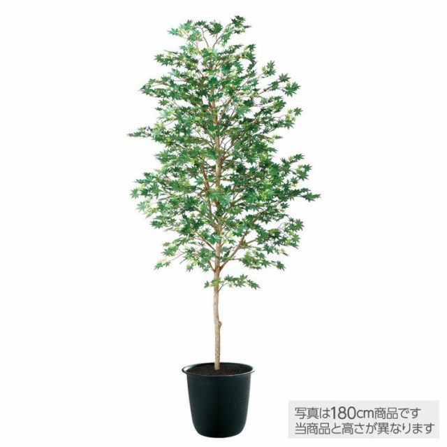 正規激安 人工観葉植物 ヤマモミジ 緑 0cm 鉢植 観葉植物 造花 フェイクグリーン 光触媒 Ct触媒 インテリア 最新コレックション Bayounyc Com