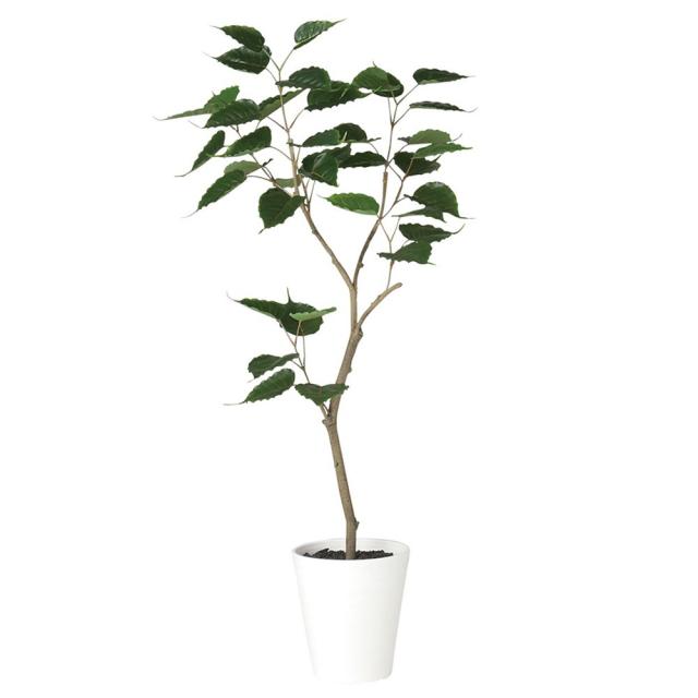 限定製作 人工観葉植物 フェイクグリーン 観葉植物 造花 光触媒 大型 インドボダイジュ Fst 1cm 鉢植 菩提樹 フィカス フェイク グリーン インテ 送料無料 Www Theleaf Com Np
