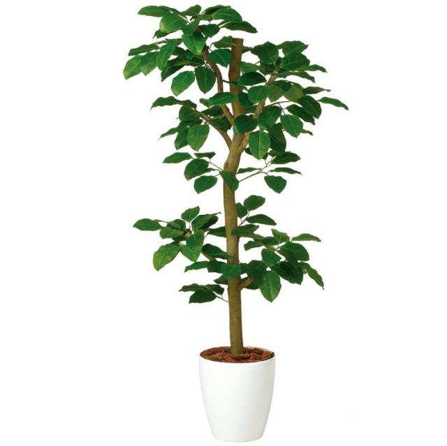 人気の フェイクグリーン ベンガルボダイジュ N Style 150cm 鉢植 観葉植物 造花 大型 人工観葉植物 光触媒 Ct触媒 インテリア 数量は多 Corposervica Gob Ve