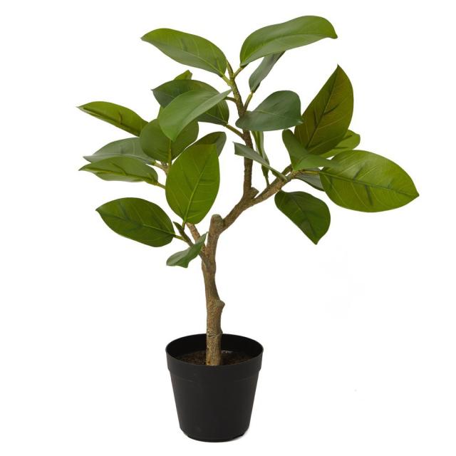 しつこい 人工観葉植物 グリーン インテリア おしゃれ Ct触媒 お祝の通販はau Pay マーケット 神戸花物語 商品ロットナ フェイクグリーン 観葉植物 造花 光触媒 フィカスソフィアポット 55cm フェイク りますので