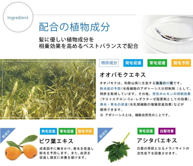 のヘアケア 薬用ｈｇｎ シリーズ３点セット リニューアル版 医薬部外品 薄毛 抜け毛ケア 白髪ケアの通販はau Pay マーケット マダム シャンパーニュ 商品ロットナンバー についての