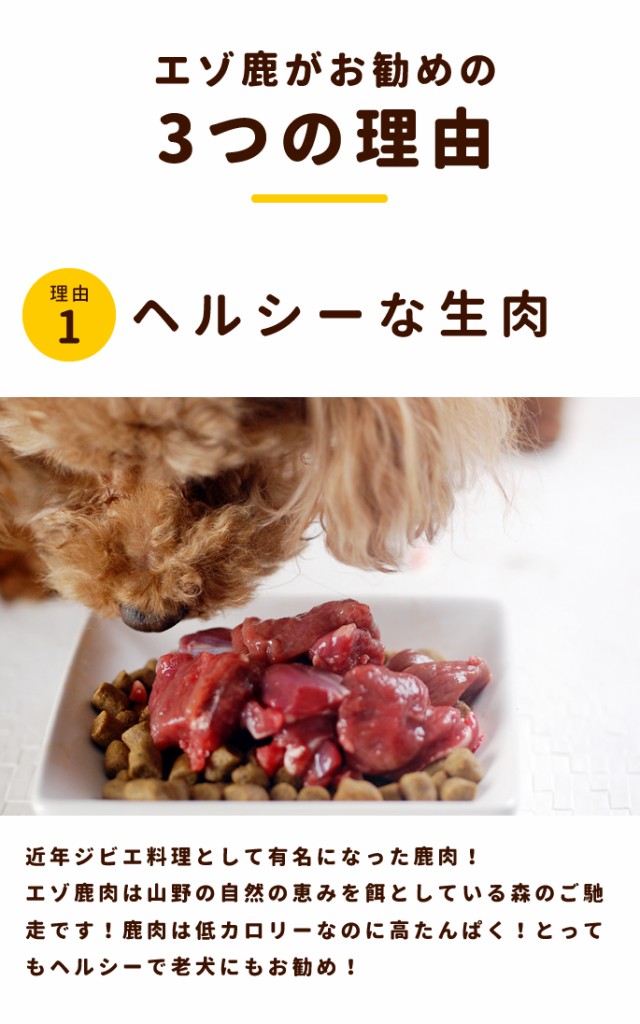 天然 エゾ鹿生肉 角切り 国産 低カロリー 鹿肉 ペット シカ シニア 高齢犬 5kg 生肉 犬にも 手作り食 猫用 ヘルシー