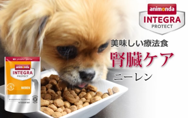 アニモンダ 犬用ニーレン4kg 腎臓療法食 ドライフード インテグラプロテクト フード ドッグフード 療法食 Dog 低リン Animonda 慢性腎の通販はau Pay マーケット 帝塚山ハウンドカム 商品ロットナンバー