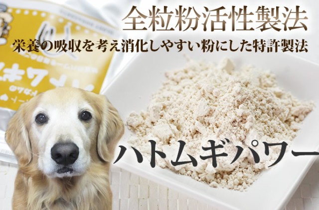 ねこ 犬のフード ハトムギパワー 5袋セット ドッグフード フード 鳩麦 トッピング 手作り食手作り 通販 犬 愛犬手作り 食材 はとむぎ粉末 Www Gordonterrace Ca