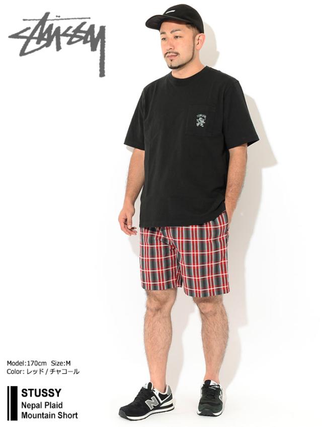 STUSSYステューシーのハーフパンツ Nepal Plaid Mountain Short01