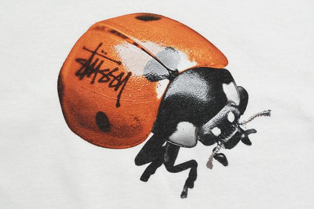STUSSYステューシーのTシャツ Ladybug04