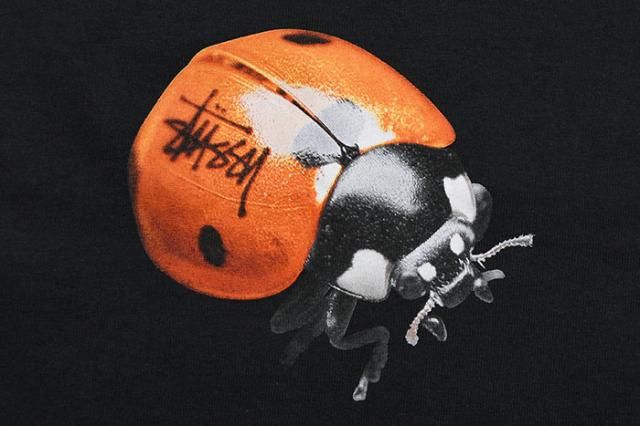 STUSSYステューシーのTシャツ Ladybug05