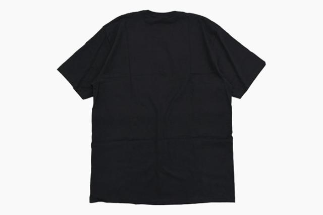 STUSSYステューシーのTシャツ Ladybug07