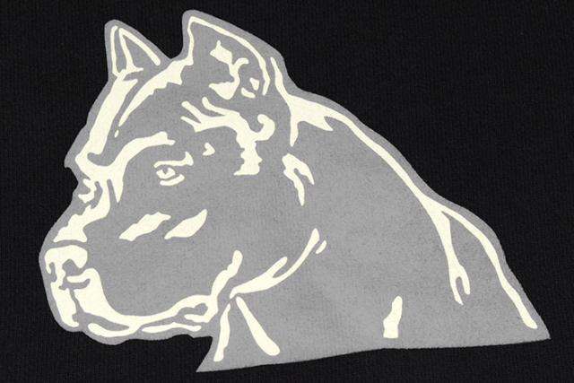 X-LARGEエクストララージのトレーナー Big Print Crew Neck Sweat05