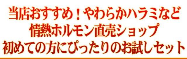 情熱のお試しセットＡ