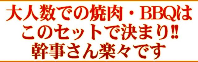 【情熱特撰】人気盛りBBQセット