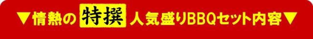【情熱特撰】人気盛りBBQセット