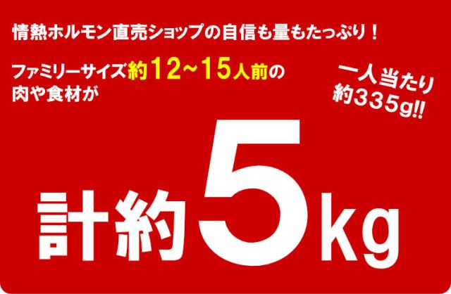 【情熱特撰】人気盛りBBQセット