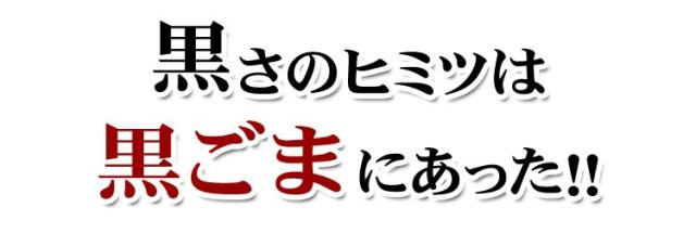 牛タン黒カレー