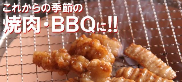 【情熱特撰】人気盛りBBQセット