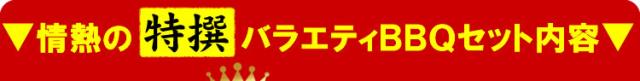【情熱特撰】バラエティBBQセット