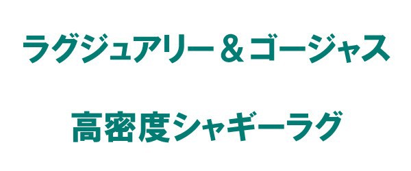 カーペット 131 通販 住之江 0 250cm ラグ ネオグラス 日本製