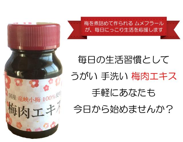 梅肉エキス