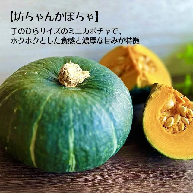 まるごとプリン