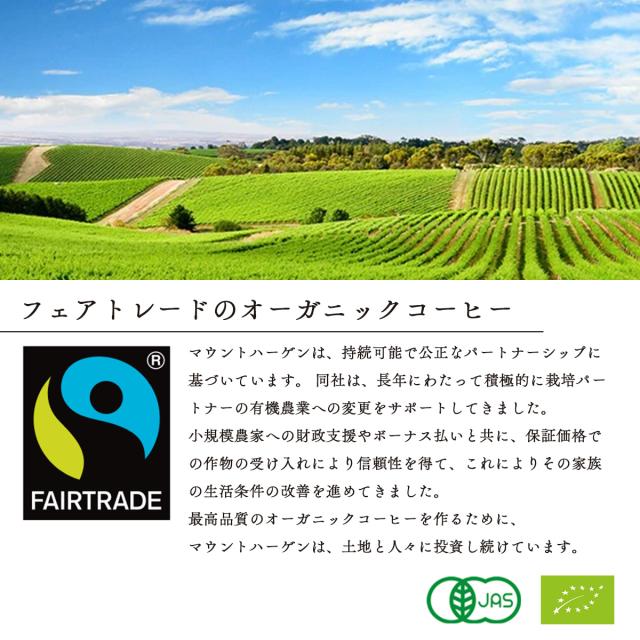 レギュラーインスタントコーヒー100g