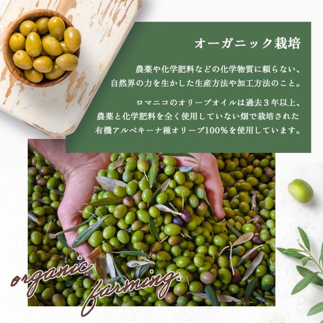 紹介3