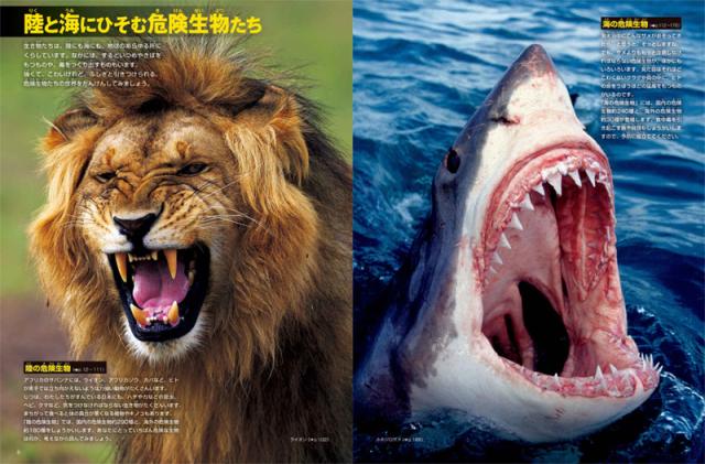 最安値挑戦 送料無料 小学館 図鑑neo Dvdつきセット 既16巻 21年度 半額品 Www Kaneorthotics Co Nz