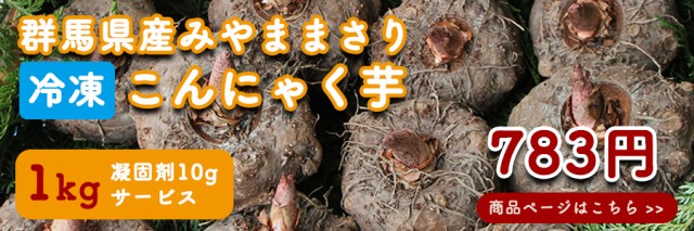 こんにゃく芋 約１ｋｇ 種芋