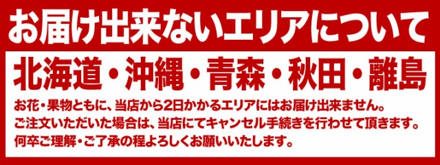 最安値 お供え お盆 新盆 供花 四十九日 お悔やみの花 生花 花束 Llサイズ ユリ 入り ブーケ ついに再入荷 Carlavista Com