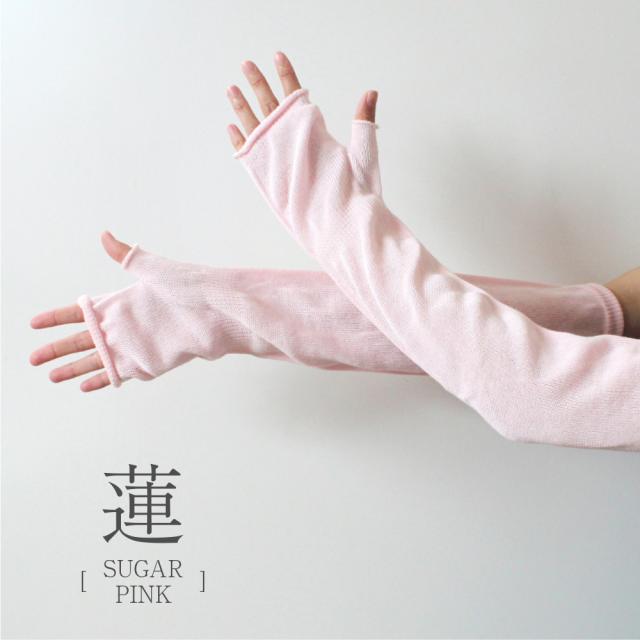 蓮シュガーピンク
