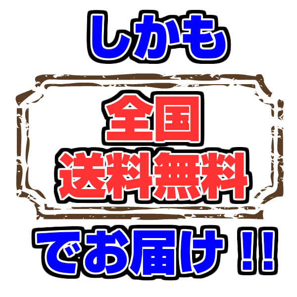 送料無料