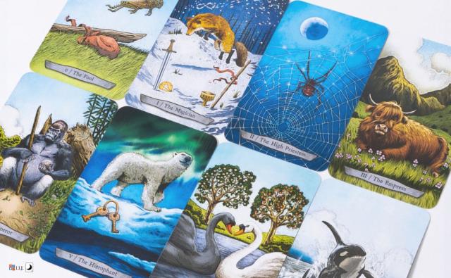 アニマル トーテム タロット Animal Totem Tarot ANIMAL TOTEM TAROT