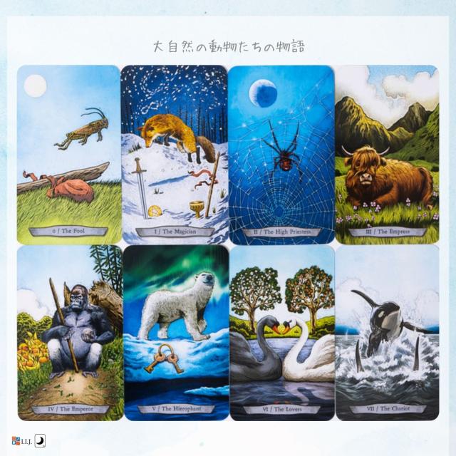 アニマル トーテム タロット Animal Totem Tarot カード図版