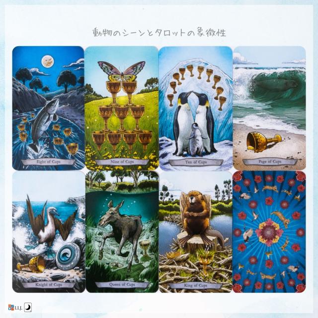 アニマル トーテム タロット Animal Totem Tarot カード図版