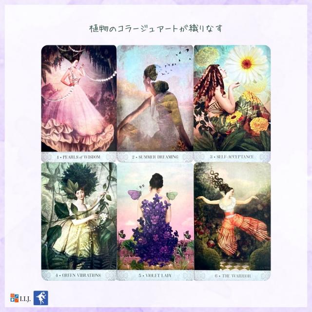 ボタニカル・ドリーム・オラクル カード図版