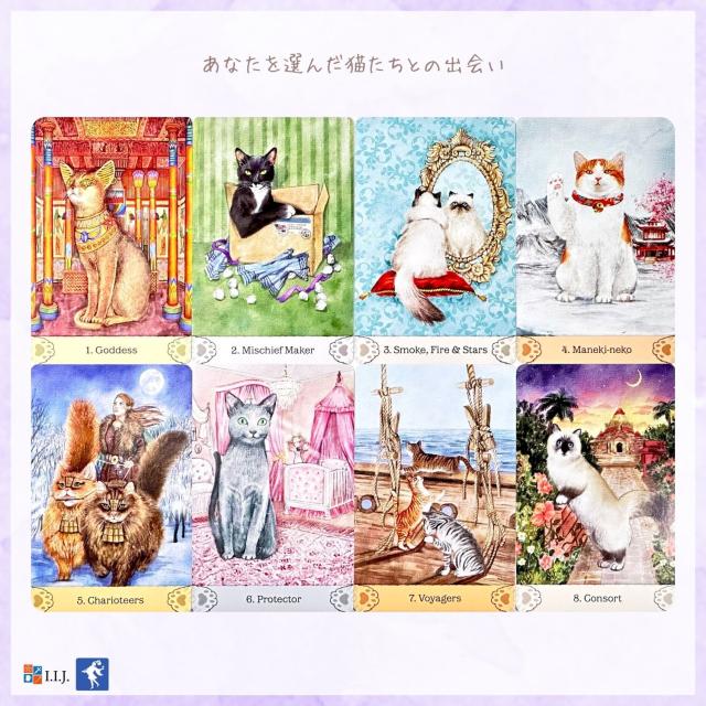 キャット・ミュトス＆マジック・オラクル カード図版