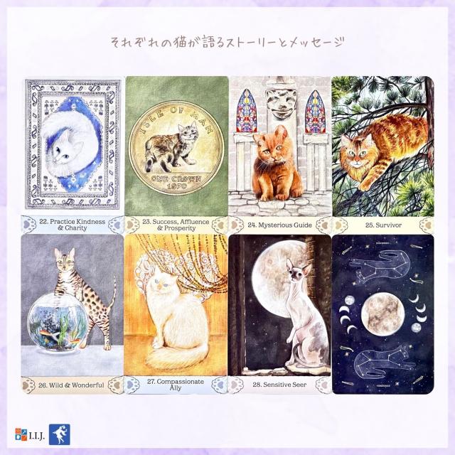 キャット・ミュトス＆マジック・オラクル カード図版