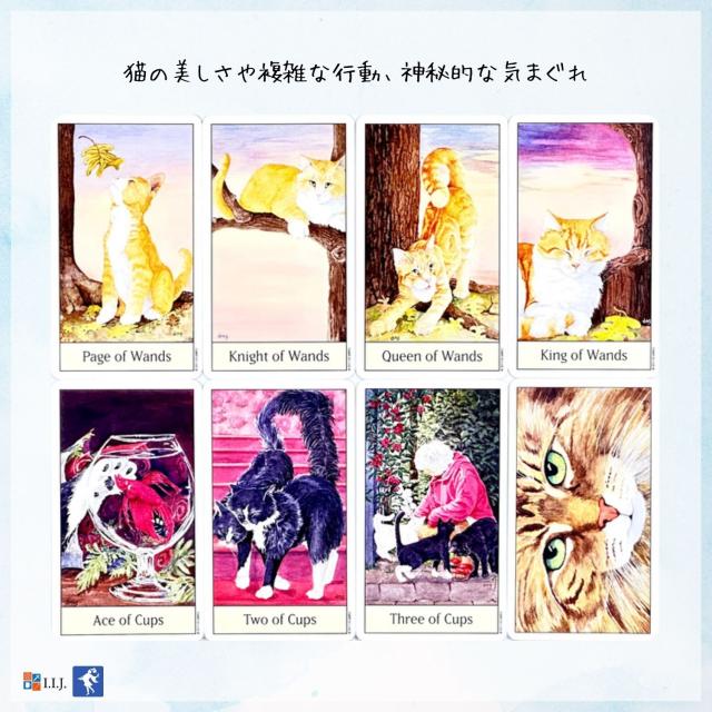 キャッツ・アイ・タロット カード図版
